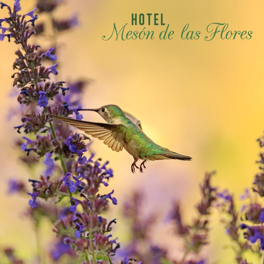 Hotel Meson De Las Flores Armenia  Exteriér fotografie