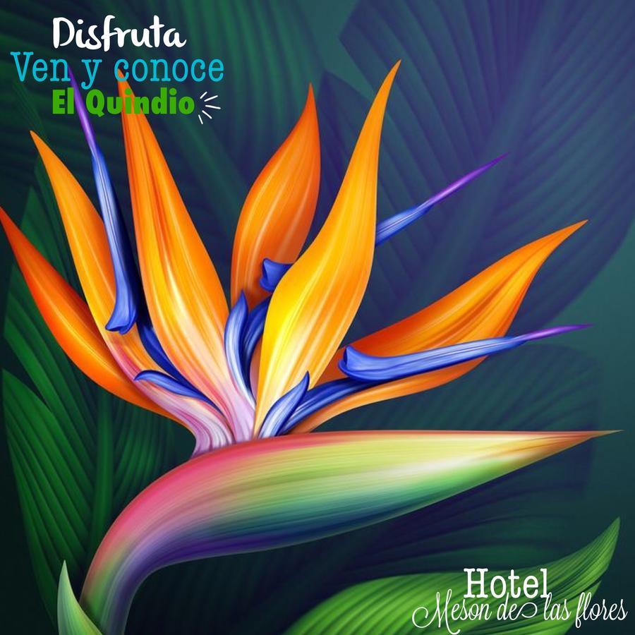 Hotel Meson De Las Flores Armenia  Exteriér fotografie